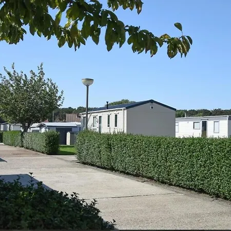 Camping Guinguette Le Coq